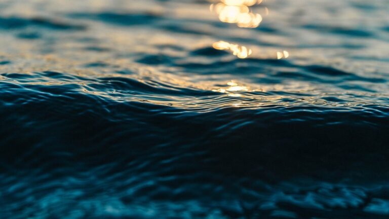 Азовське море