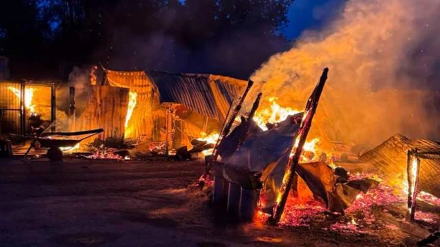 Притулок «Сіріус» на Київщині: версія короткого замикання та офіційне розслідування